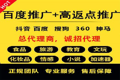 SEM托管服务实战案例：打造高效广告投放策略